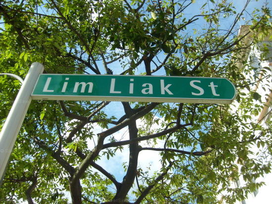 Lim Liak Street #90532